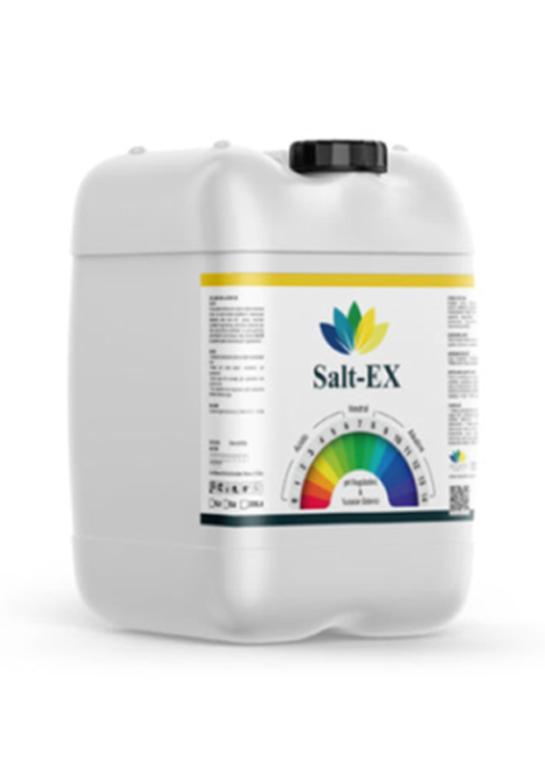 SALT–EX 