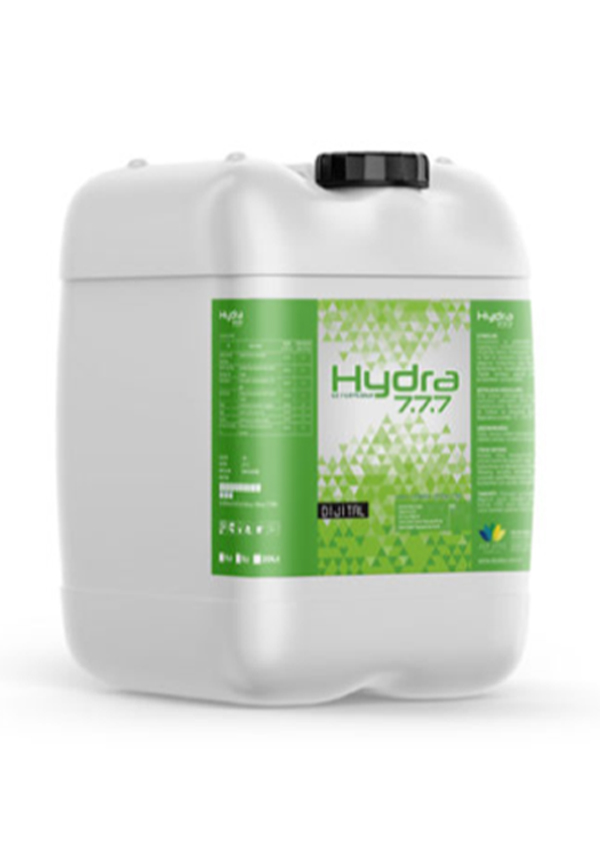 HYDRA DİJİTAL 7.7.7